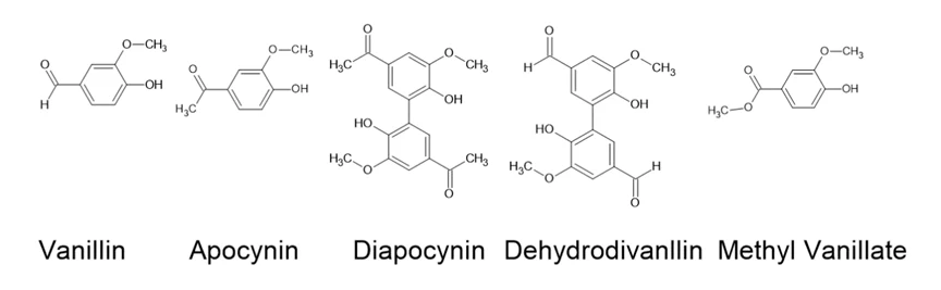 5 种研究化合物的结构式