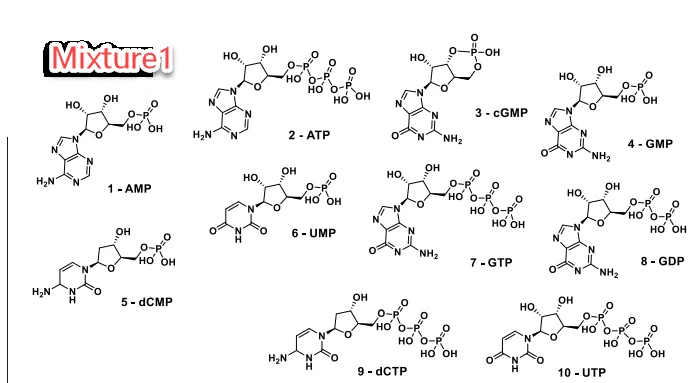 离子色谱筛选系统结合计算机建模用于生物药方法开发 界面