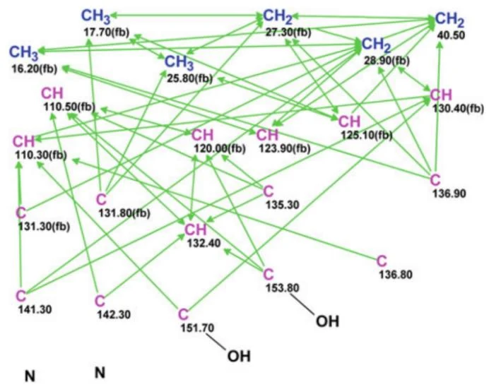 图5.37 Geranylphenazinediol 的分子连接图（MCD）