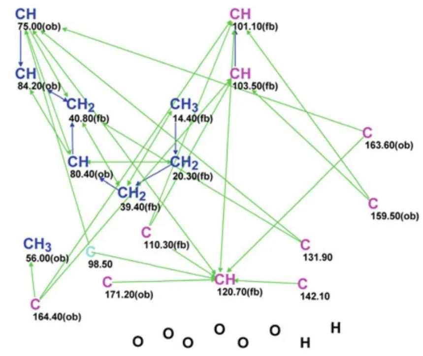 图5.74 Lasionectrin:稍作编辑后的分子连接图(MCD)