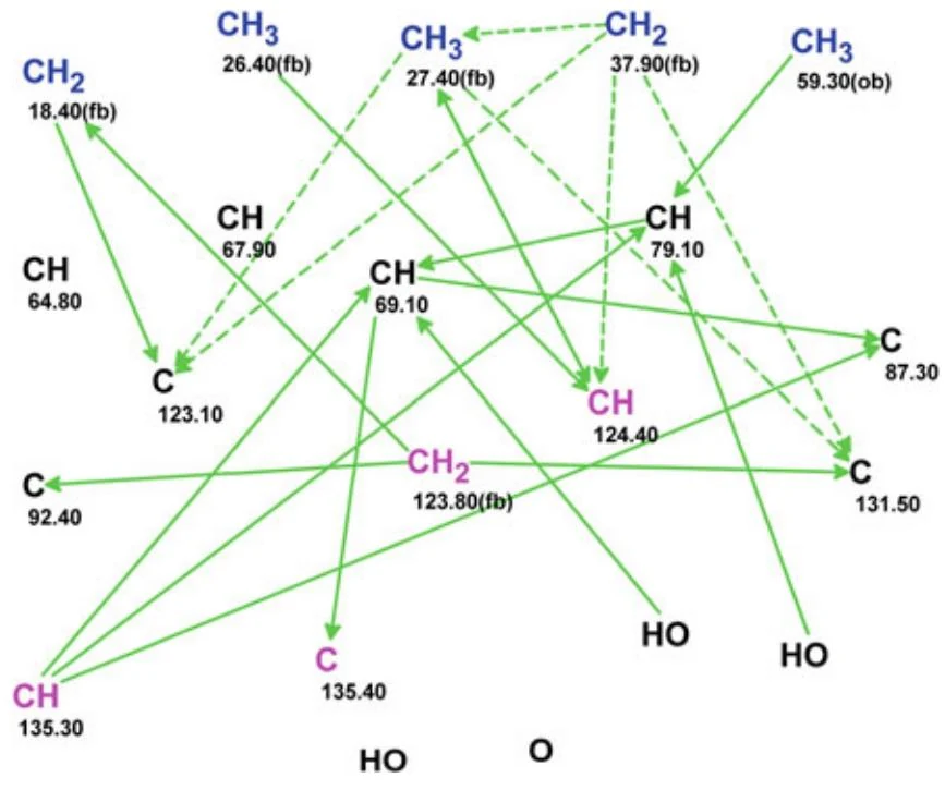 图5.80 Phomentrioloxin：在假设分子可能含有炔基团的条件下生成的分子连接图（MCD）。图
