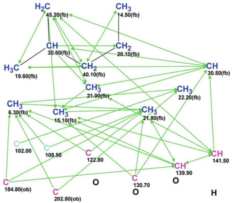 图5.100 Polypropionate：含有一个匹配片段的分子连接图（MCD）