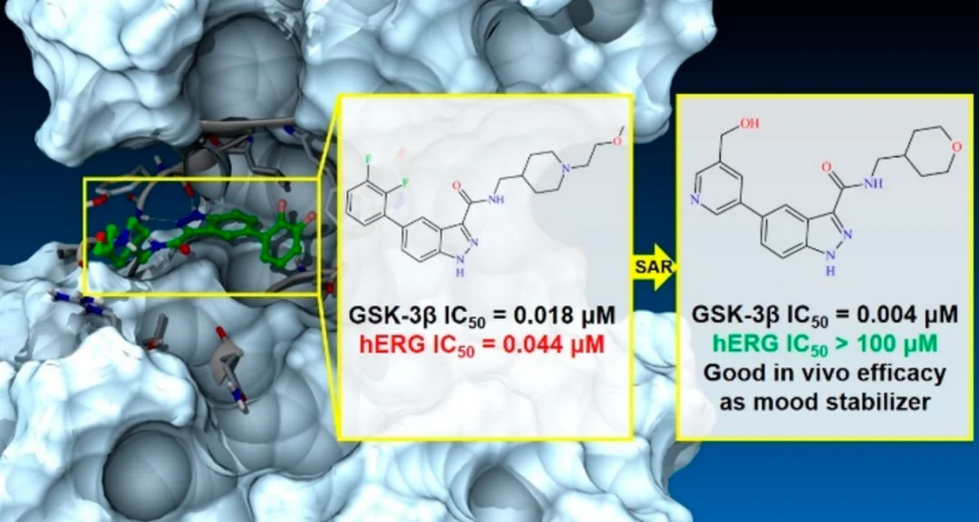 图文摘要：GSK-3β 抑制剂的 hERG 风险优化