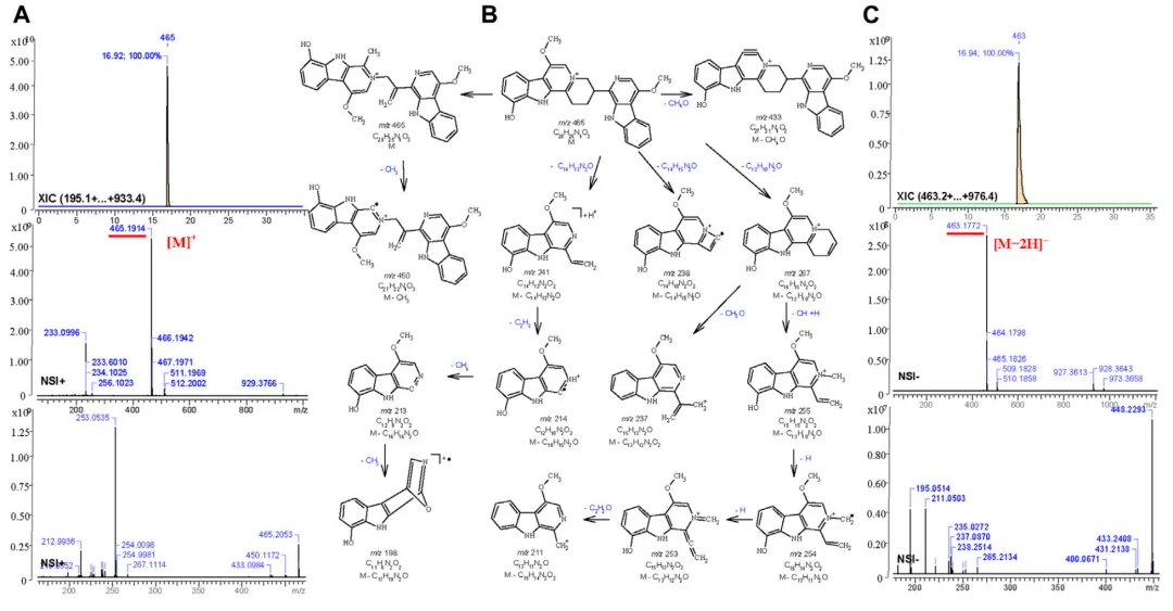 quassidine K 的提取离子流图、MS1-2 谱图及 MS Fragmenter 碎片裂解途径