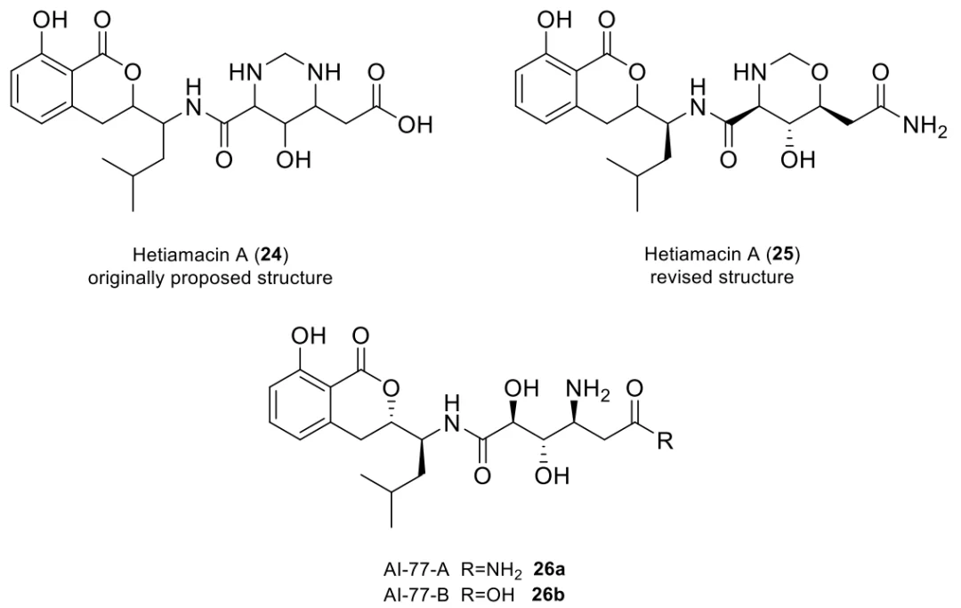 Hetiamacin A 原始结构24、修订结构25与AI-77系列