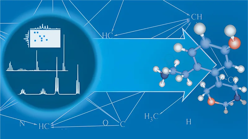 结构解析与 NMR 产品示意图