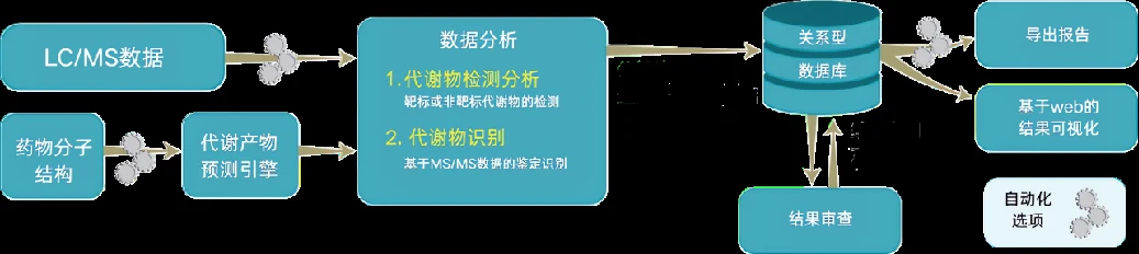 MetaSense 代谢物结构鉴定六步工作流示意