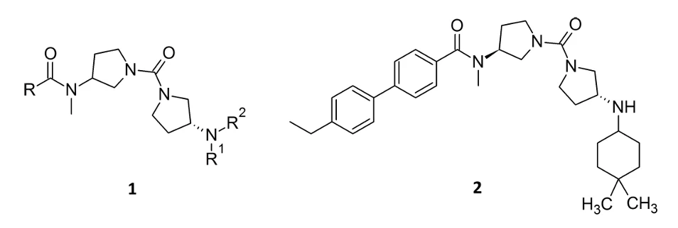 基于成药性质的先导化合物结构优化：MCH-R1 拮抗剂 界面