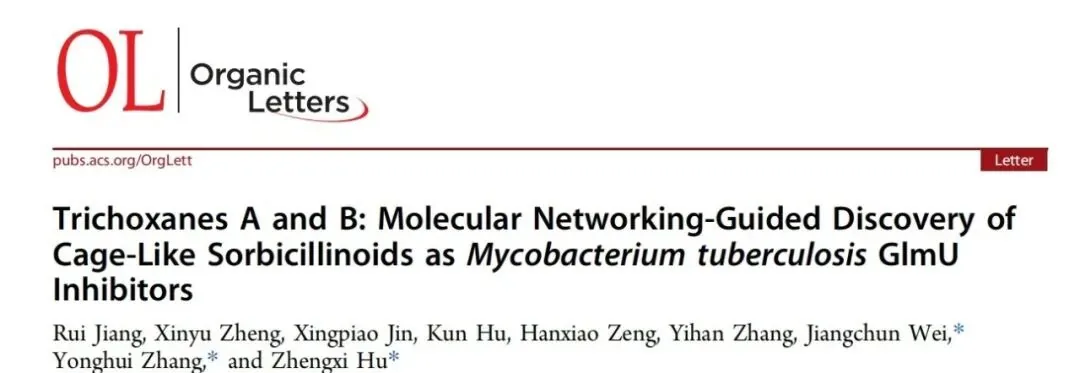Trichoxanes A 与 B：分子网络导向发现的笼状 sorbicillinoid 类新骨架