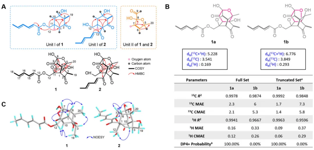 Trichoxanes A 与 B：分子网络导向发现的笼状 sorbicillinoid 类新骨架