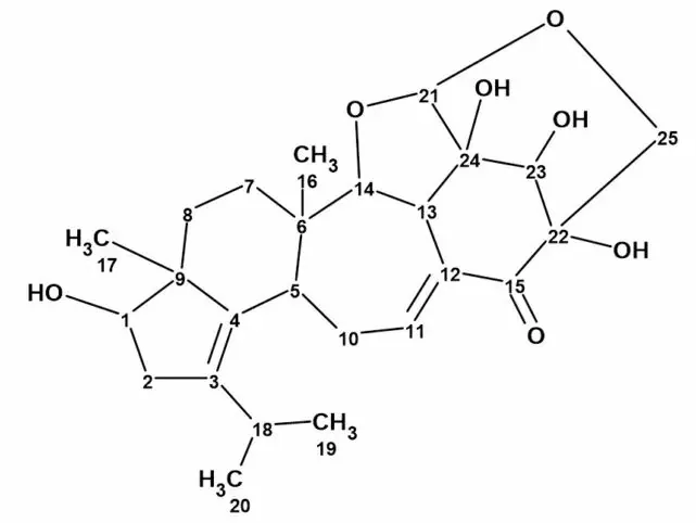 Structure Elucidator Suite 辅助解析复杂天然产物 Cyathstrine A 的结构