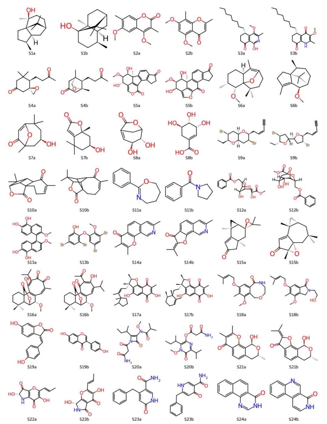 从 DP5q 到 CASE：AI 加速 NMR 结构确证的完整解决方案