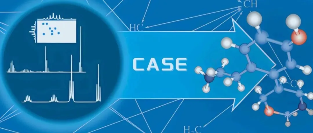 从 DP5q 到 CASE：AI 加速 NMR 结构确证的完整解决方案