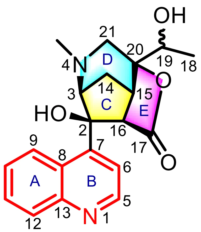 2025 年度 Structure Elucidator Suite 应用案例总结 · CASE 技术专题 · 凯美科