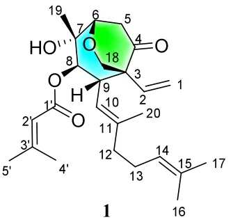 2025 年度 Structure Elucidator Suite 应用案例总结 · CASE 技术专题 · 凯美科