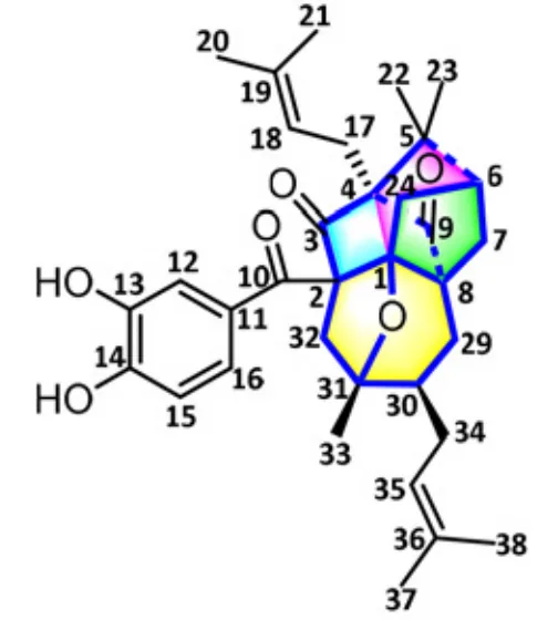 2025 年度 Structure Elucidator Suite 应用案例总结 · CASE 技术专题 · 凯美科