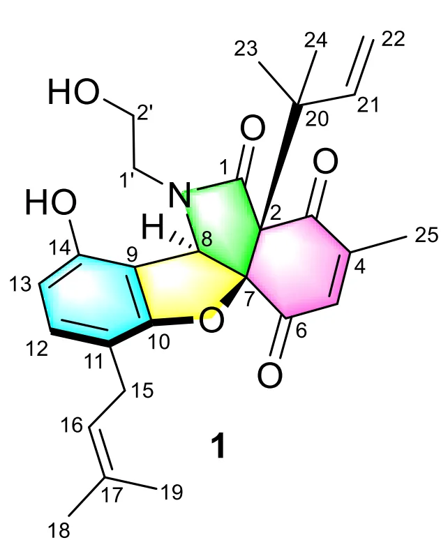 2025 年度 Structure Elucidator Suite 应用案例总结 · CASE 技术专题 · 凯美科