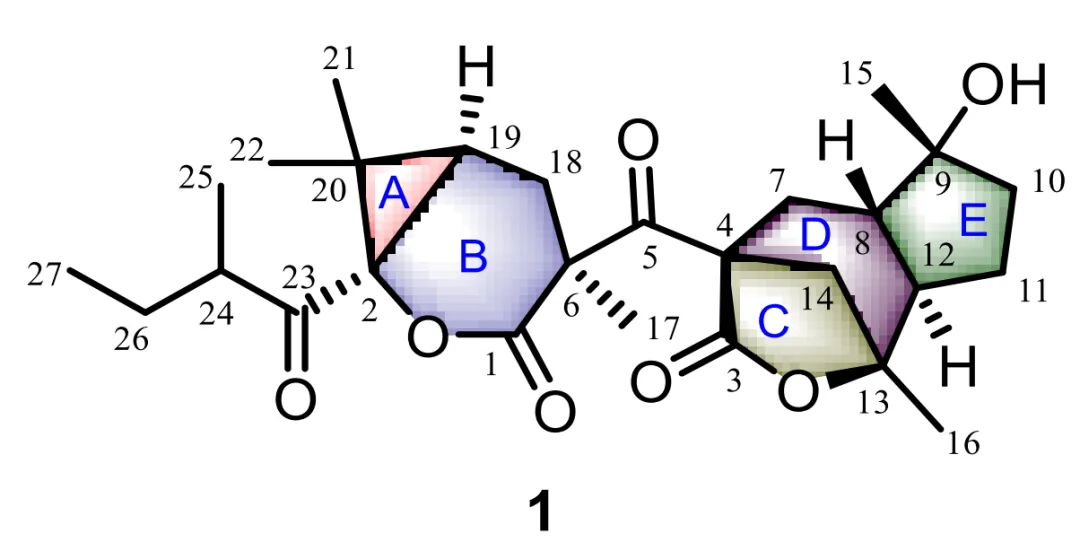 2025 年度 Structure Elucidator Suite 应用案例总结 · CASE 技术专题 · 凯美科