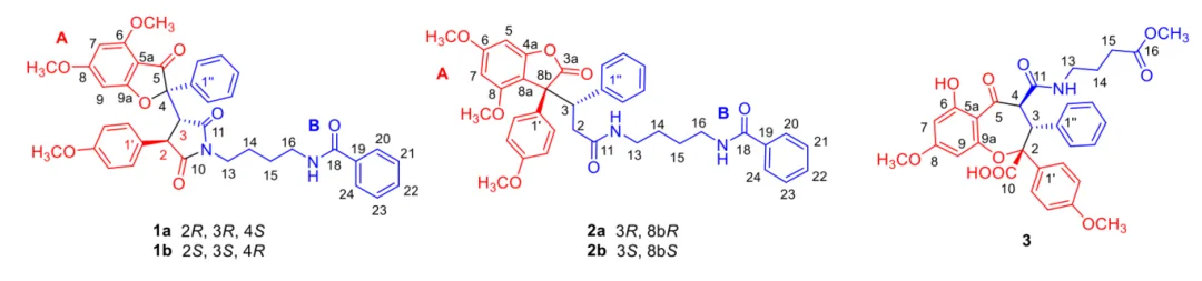 2025 年度 Structure Elucidator Suite 应用案例总结 · CASE 技术专题 · 凯美科