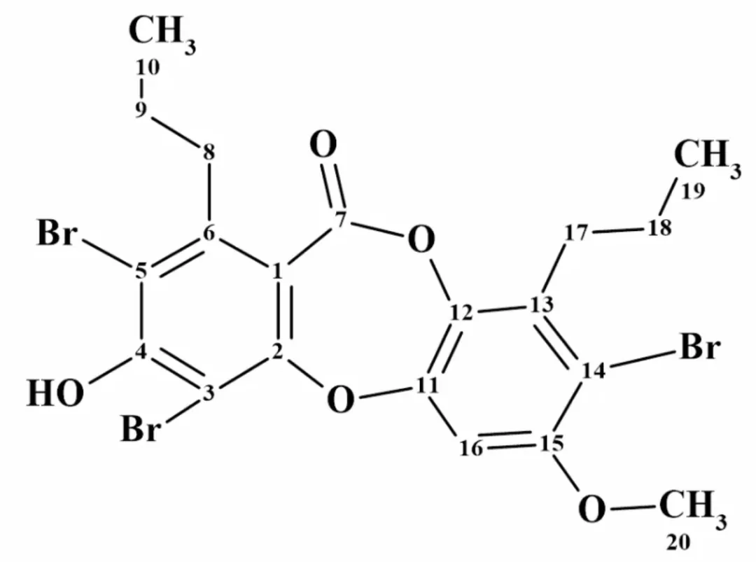 卤代天然产物 Spiromastixone Z4 的计算机辅助结构解析 · CASE 技术专题 · 凯美科