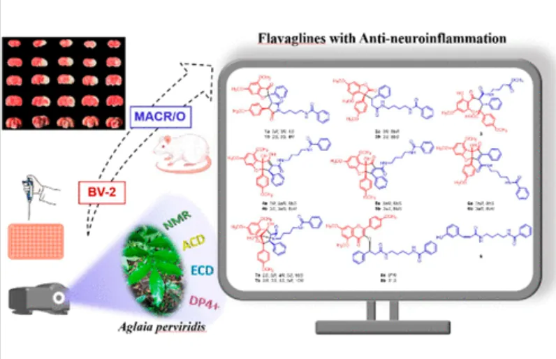 碧绿米仔兰中具缺血性脑卒中治疗潜力的特征性 Flavaglines 类化合物 · CASE 技术专题 · 凯美科