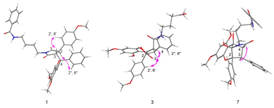 碧绿米仔兰中具缺血性脑卒中治疗潜力的特征性 Flavaglines 类化合物 · CASE 技术专题 · 凯美科