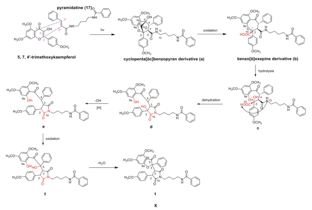 碧绿米仔兰中具缺血性脑卒中治疗潜力的特征性 Flavaglines 类化合物 · CASE 技术专题 · 凯美科
