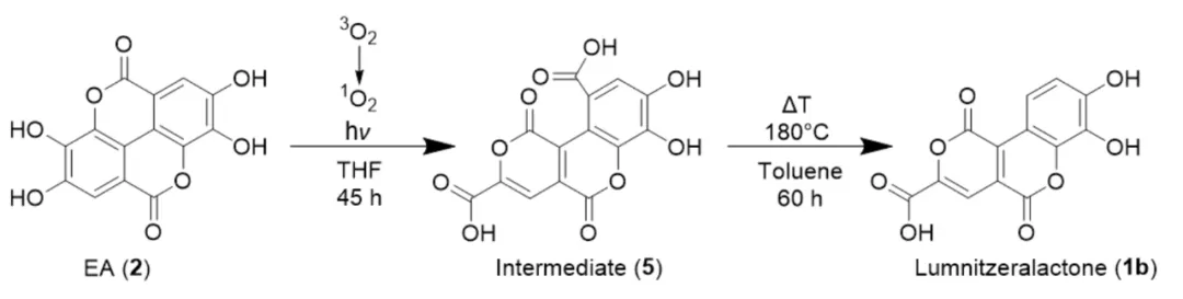 红树植物榄李中新型鞣花酸内酯 Lumnitzeralactone 的结构破译 · CASE 技术专题 · 凯美科