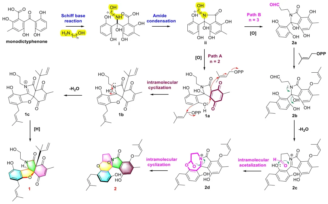 Indopexines A 和 B：源自真菌 Aspergillus sp. TJ507 的异吲哚啉生物碱 · CASE 技术专题 · 凯美科