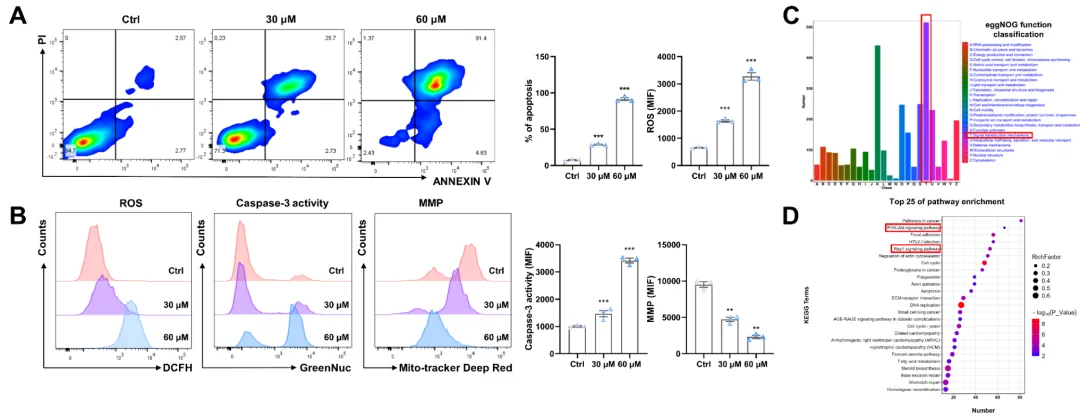 Indopexines A 和 B：源自真菌 Aspergillus sp. TJ507 的异吲哚啉生物碱