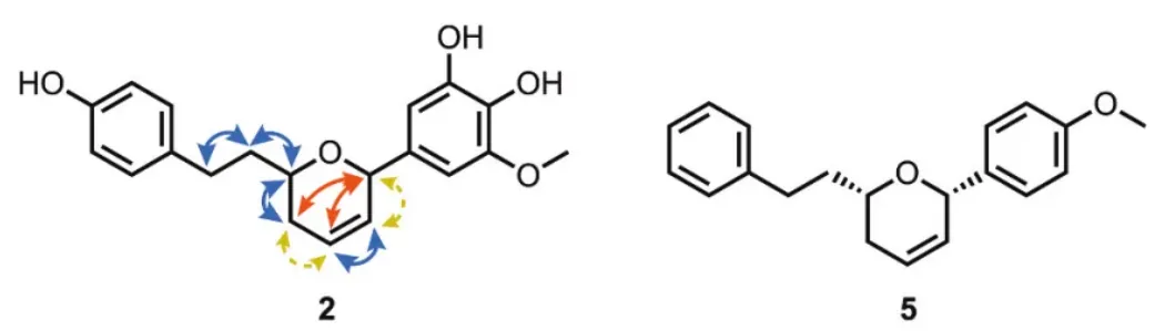 天然产物 Zerumol A 的计算机辅助结构修正 · CASE 技术专题 · 凯美科