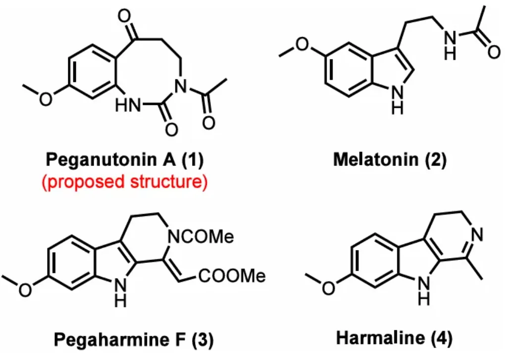 图1. Peganutonin A (1)及相关天然产物的结构式