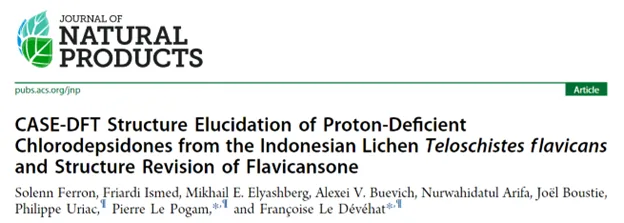 基于 CASE-DFT 的 Chlorodepsidones 结构解析及 Flavicansone 结构修订