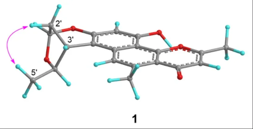 Eleutherlenes A–D：红葱中分离的抗炎萘衍生物