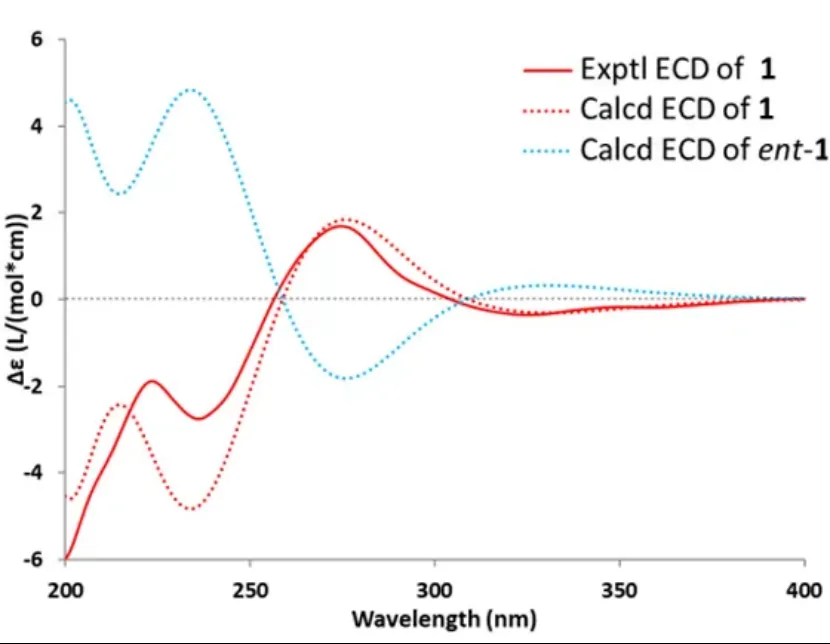 Eleutherlenes A–D：红葱中分离的抗炎萘衍生物