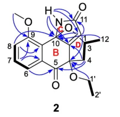 Eleutherlenes A–D：红葱中分离的抗炎萘衍生物