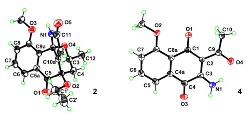 Eleutherlenes A–D：红葱中分离的抗炎萘衍生物