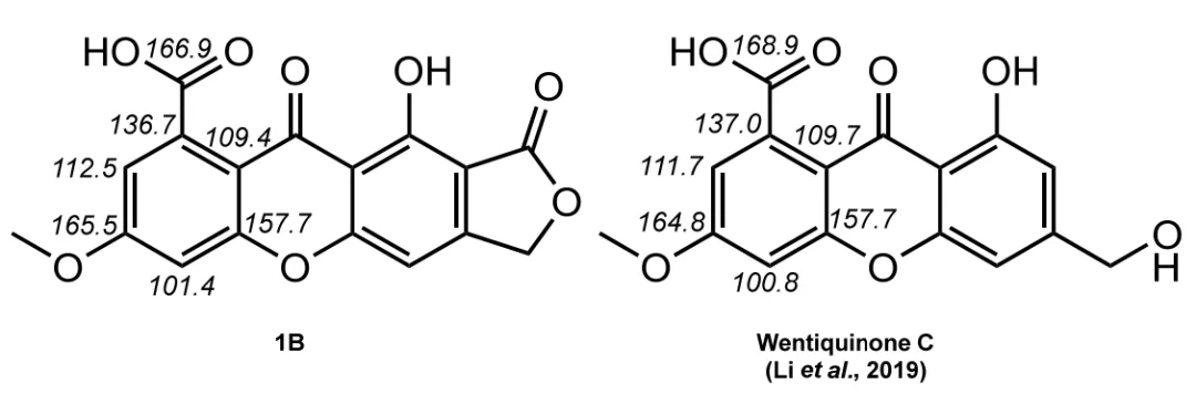 基于 CASE + DFT 策略对呫吨酮类天然产物 Ominoxanthone 的结构解析