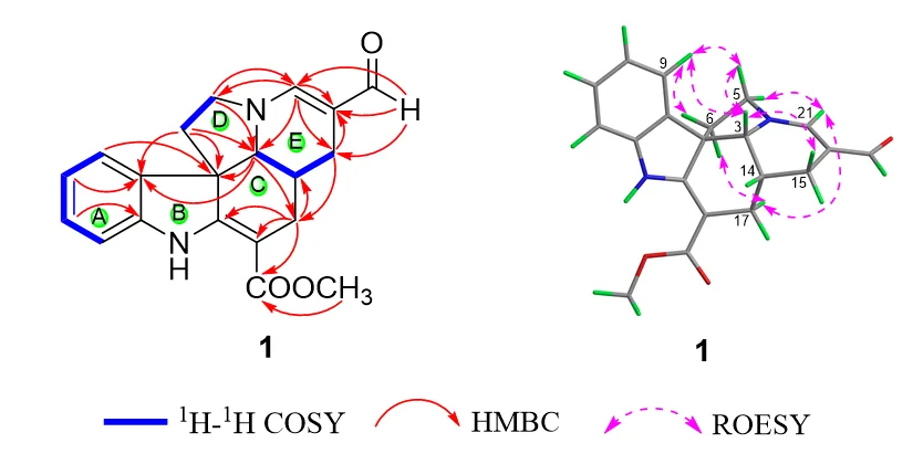 18-降单萜类吲哚生物碱 Tabernaecorymine A 的结构解析