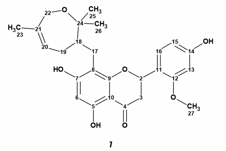 新型异戊二烯型黄酮化合物 Davidone F 的结构解析