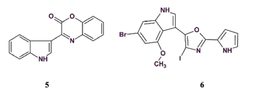 计算机辅助结构解析（CASE）：现状和未来展望