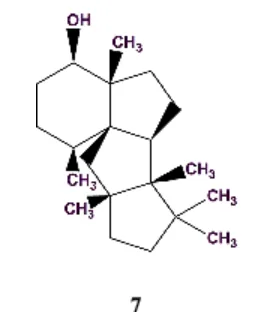 计算机辅助结构解析（CASE）：现状和未来展望