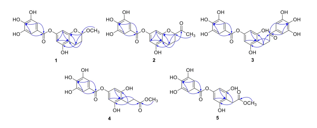 一文了解计算机辅助结构解析（CASE 算法）的应用文献