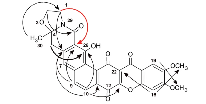 一文了解计算机辅助结构解析（CASE 算法）的应用文献