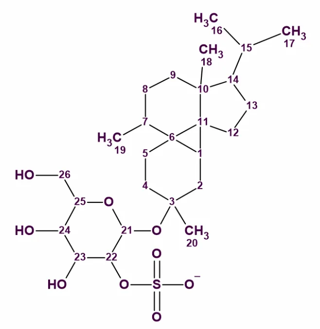 每月案例｜海洋天然产物 Peyssonnoside A 的结构解析