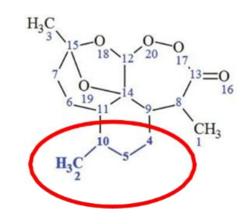 提议结构 #2 中定义的固定片段