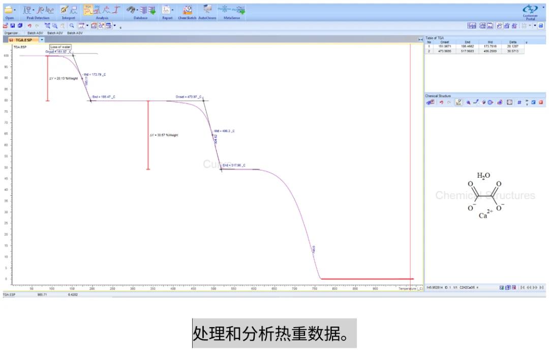 ChemAnalytical Workbook 报告与结果输出界面