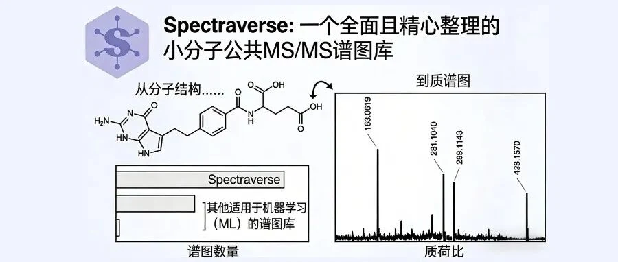 SpectraVerse 公共小分子 MS/MS 谱图库