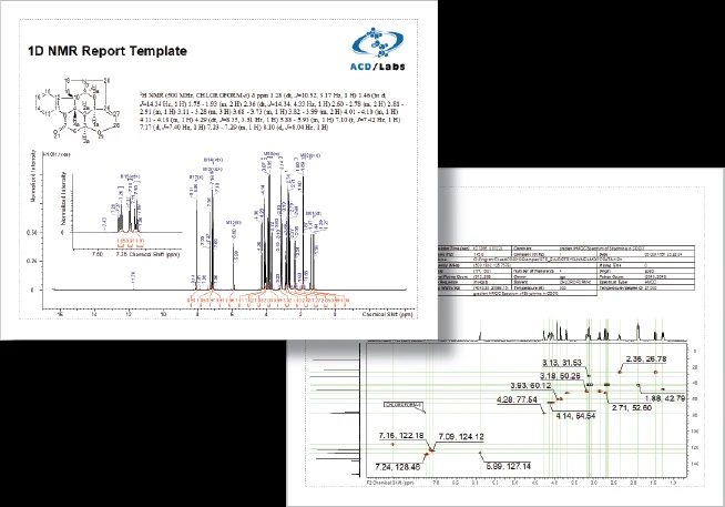Spectrus Processor NMR 报告导出示例
